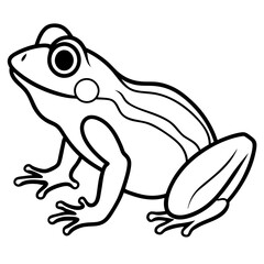 Modern Frog Line Drawing