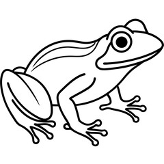Modern Frog Line Drawing