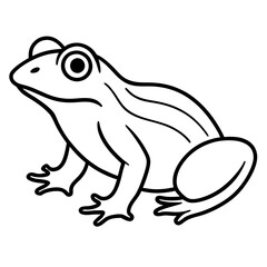 Modern Frog Line Drawing