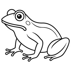 Modern Frog Line Drawing