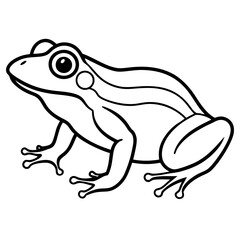 Modern Frog Line Drawing