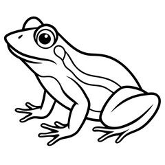 Modern Frog Line Drawing