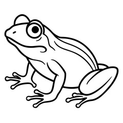 Modern Frog Line Drawing