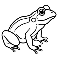 Modern Frog Line Drawing