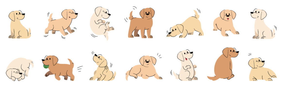Fototapeta Cute dogs doodle vector set. Cartoon dog or puppy characters design collection with golden retriever breed and  flat color in different poses. Set of funny pet animals isolated on white background. 