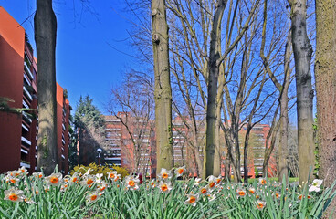 Fototapete bei efototapeten.de bestellen   