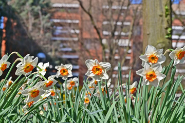 Fototapete bei efototapeten.de bestellen   