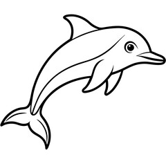 Smooth Dolphin Line Art Vector