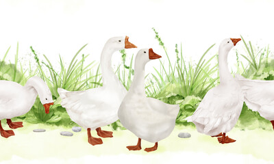 A white domestic goose on a background of spring green grass. Digital watercolor illustration. Cute farm bird, gosling, on a white background. Easter theme, rustic and farm firm, seamless border