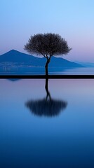 Tranquil lake scene with a solitary tree