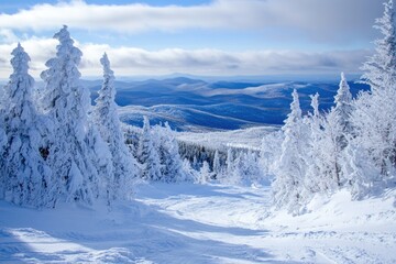 A breathtaking view of mountains blanketed in pristine white snow.