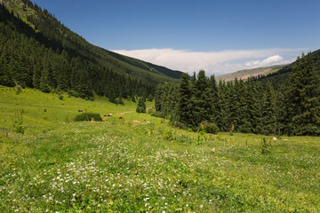 The Karakol Gorge, also known as Karakol Valley, Kyrgyzstan