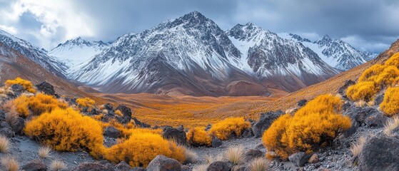 Majestic snowy mountain peaks with vibrant yellow vegetation under dramatic cloudy sky panoramic view