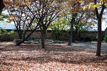 bunhwangsa Temple Site, South Korea