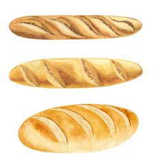 Set of watercolor bread isolated on white background. Waterolor loaf, french baguette. Watercolor painting tasty meal