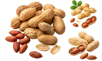 Peanut isolated, Fresh nuts collection, Collection set of peanuts isolated
