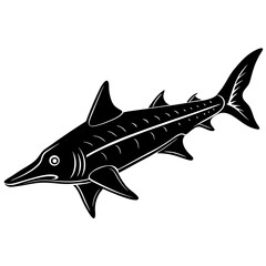 shark vector illustration