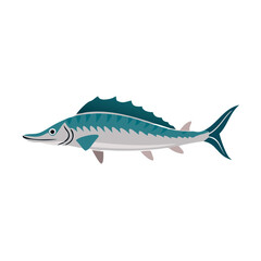 Obraz premium Sailfish Illustration: A vivid illustration of a sleek sailfish, showcasing its distinctive dorsal fin and streamlined body. 