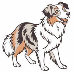 Australian Shepherd Illustration: A charming illustration of a happy Australian Shepherd, captured with vibrant colors and a friendly demeanor.