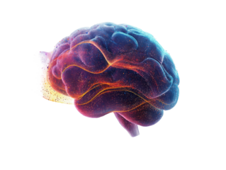 Illuminated brain with vibrant colors showcasing neural pathways on a black background image art