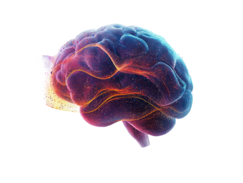 Illuminated brain with vibrant colors showcasing neural pathways on a black background image art
