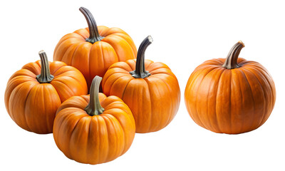 Obraz premium Pumpkin set isolated, Fresh pumpkins collection, Collection set of holiday elements isolated