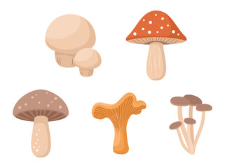 Set of forest mushrooms isolated on a white background. Flat vector illustration