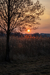 Obraz premium Sunrise over the lake