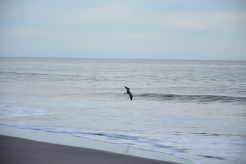 Vacaciones en el oceano