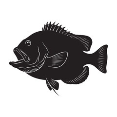 fish isolated on white background