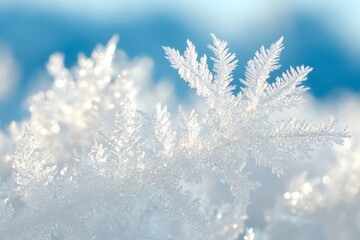 Frosty crystals glisten in the sunlight, showcasing intricate patterns in a winter landscape