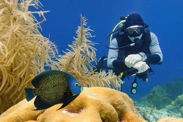 Scuba diver near beautiful coral reef with French angelfish, Bonaire, Caribbean Netherlands