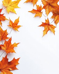 Obraz premium Autumnal Elegance Maple Leaves Displayed on Pristine White Backdrop Capturing the Essence of Fall Season in a Minimalist Style