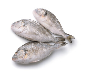 Top view of frozen gilthead sea breams