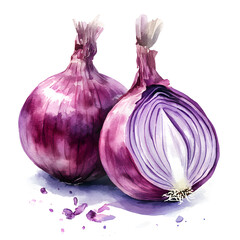 Watercolor half and one onion on white background