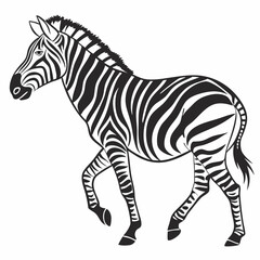 zebra black silhouette icon vector