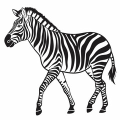 zebra black silhouette icon vector