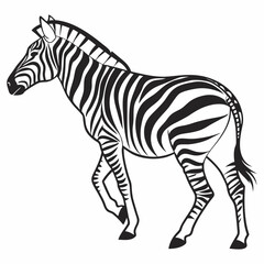 zebra black silhouette icon vector