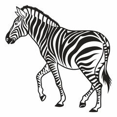 zebra black silhouette icon vector