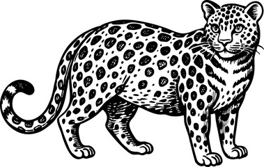 Chubby fat leopard with bold spots, combining humor and retro artistic style sketch engraving vector