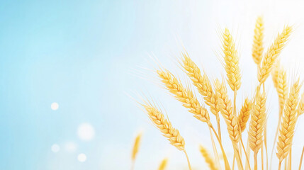 Golden Wheat Ears Against Blue Sky