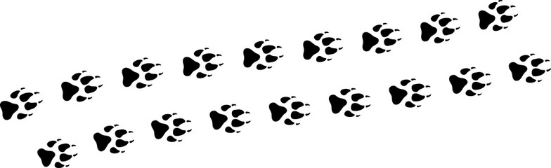 Paw vector foot trail print . Dog, cat, bear, wolf, chicken, cow, crocodile, donkey, duck, elephant and other silhouette animal. Paw print trail