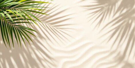 Obraz premium Green palm leaves casting soft shadows on a bright beige background. Light and shadow create a tropical summer atmosphere. Ai generative
