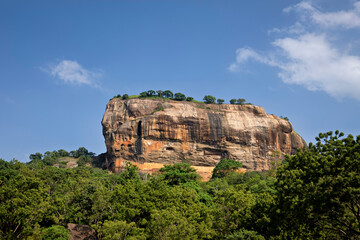 The Lion Rock of Sri Lanka	