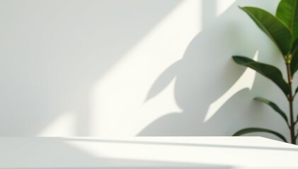 Abstract blurred background with beautiful sunlight shadow on white wall and table, perfect for product presentation,  table,  shadow