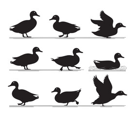 Obraz premium Group of wild animal duck silhouette vector