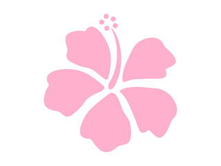 ハイビスカス © GRACE