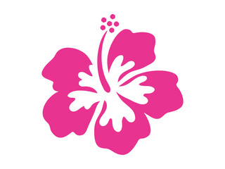 Fototapeta premium ピンクのハイビスカス