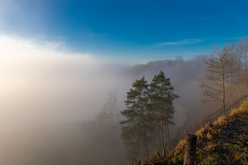 A misty morning on the top of one of the rolling hills in Maastricht where the valley is being blocked by fog, creating a magical atmosphere and idyllic view over the former marl quarry 