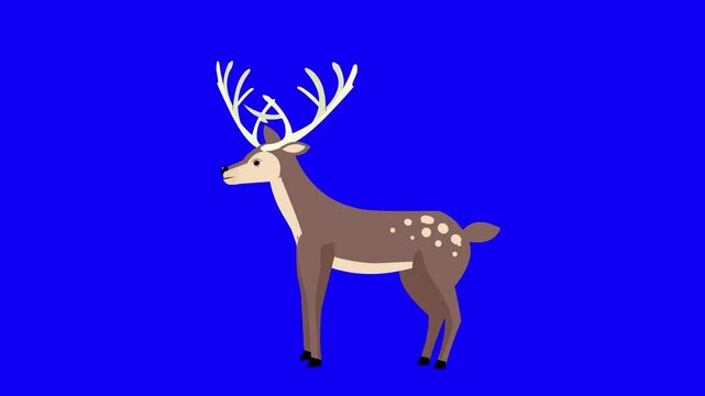 Animated video of a deer in the jungle in cartoon style on a blue background, art.